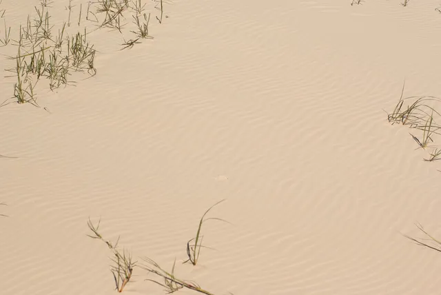 Quandamooka Yoolooburrabee Aboriginal Corporation