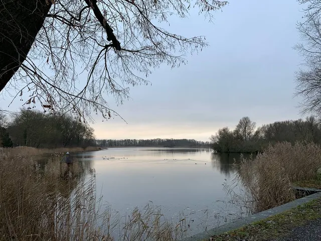 Stadtsee