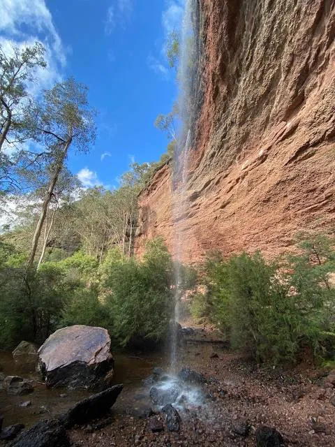 Paradise Falls