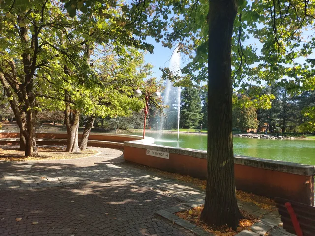 photo-2