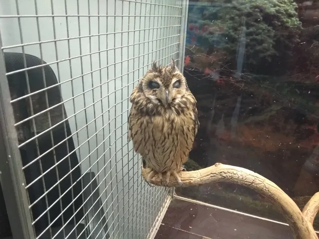 Stavropol Regional Zooekzotarium