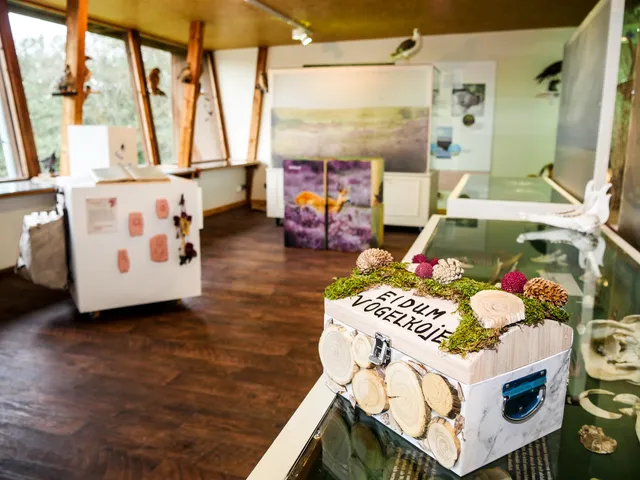 Eidum Vogelkoje Westerland