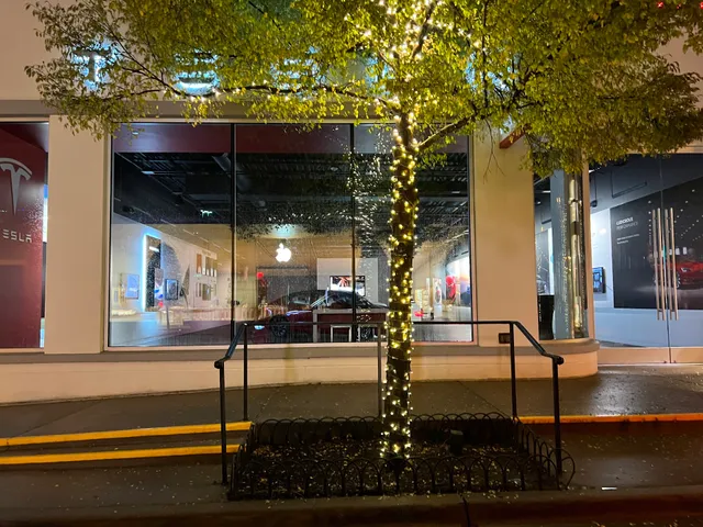 Tesla Southlake Town Square