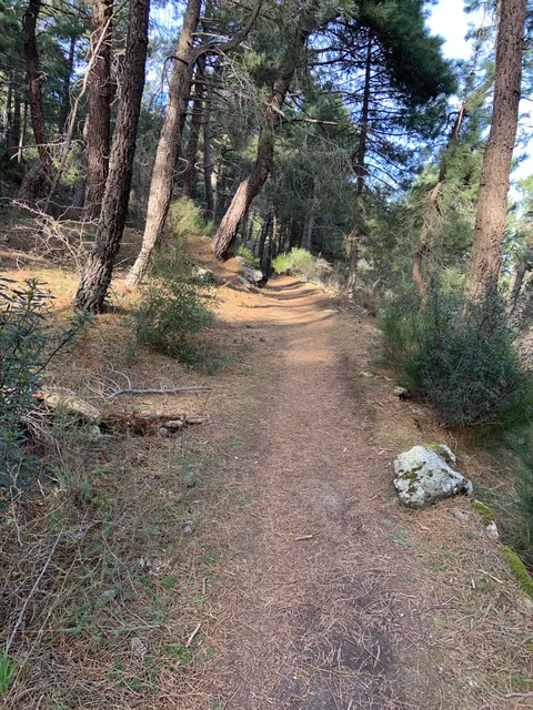 Las Zetas de El Escorial