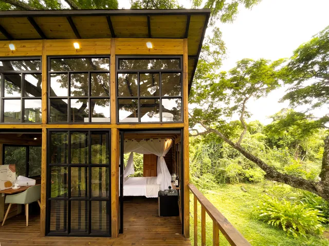 Casa en el árbol - Dosis Verde - Útica