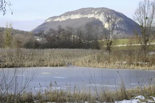 Maison du Marais de Lavours