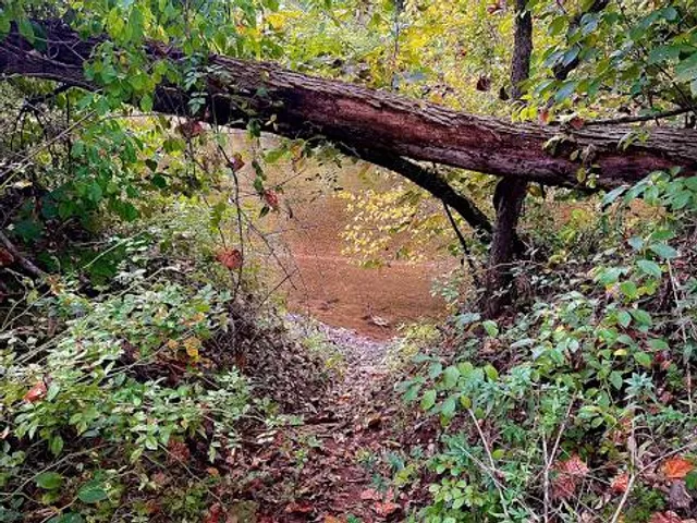 Lower Allen Community Park