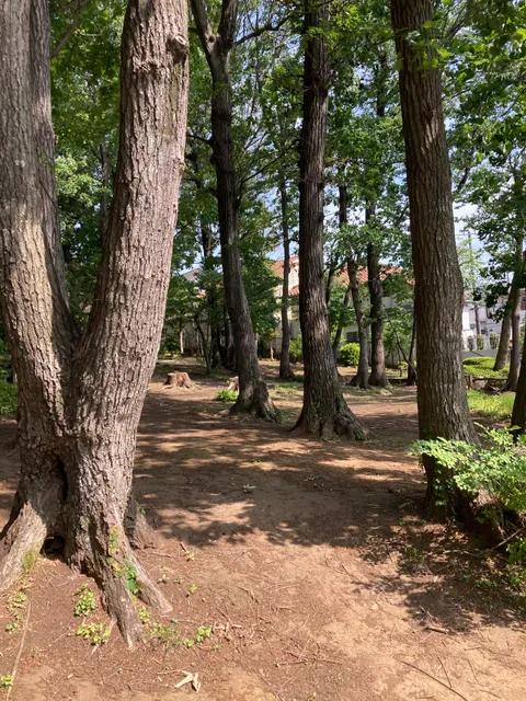 Osawazokibayashi Park