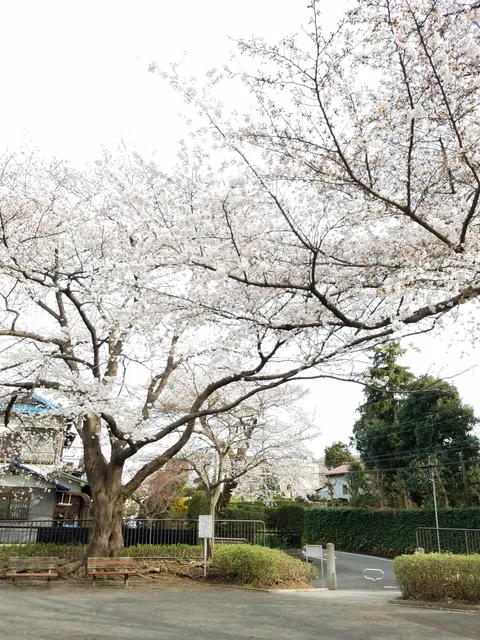 Chigusadai Daisan Park
