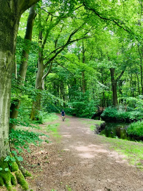 Brachenfelder Gehölz