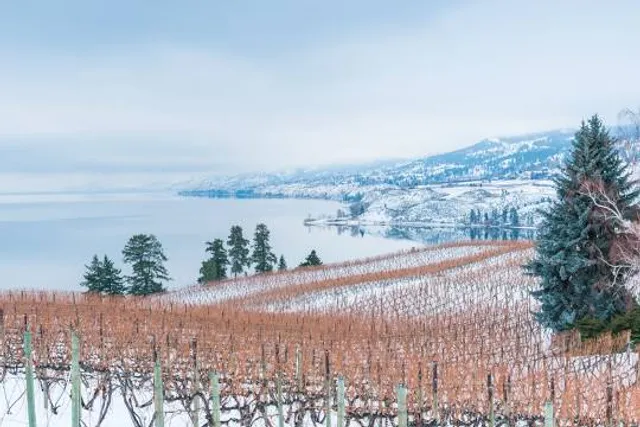 Estatal Sierra Morelos Park