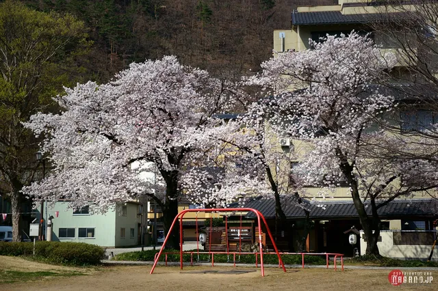Kamiyamada Central Park