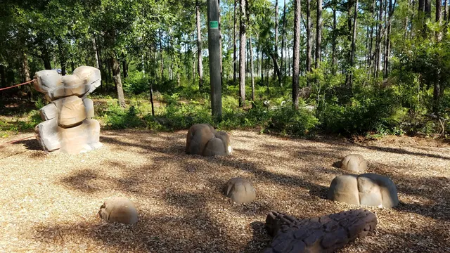 photo-2