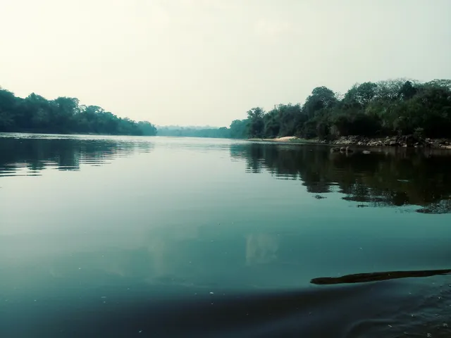 Jaru Biological Reserve