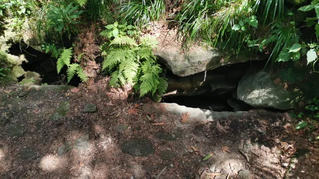 Jaskinia Salmopolska