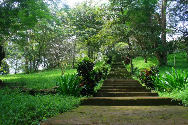 Cultural park Suoi Tre