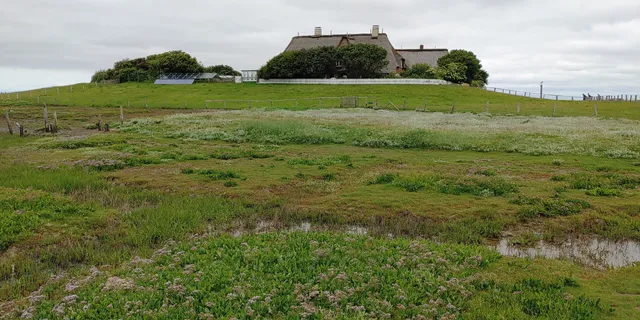 Hallig Süderoog Bird Sanctuary