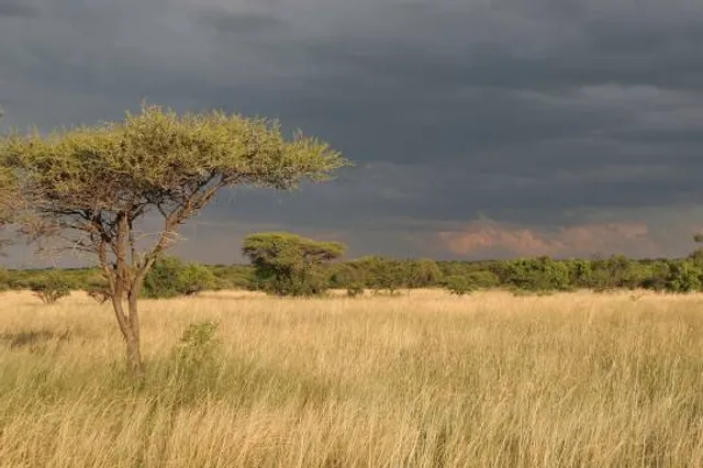 Botsalano Game Reserve