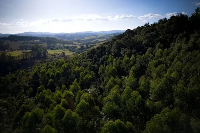 Rezerwat przyrody Góra Choina