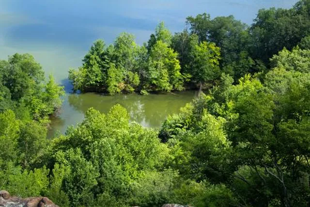 Ragged Mountain Memorial Preserve