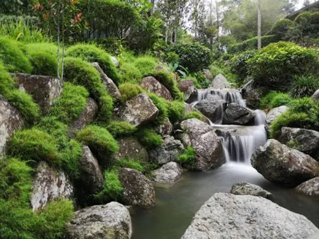 Bukit Lima Nature Reserve