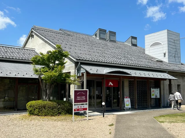 photo-1