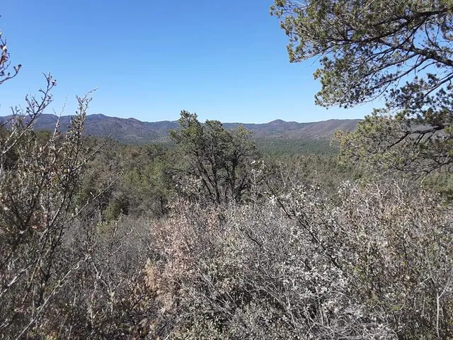 Salida Gulch Trail #95