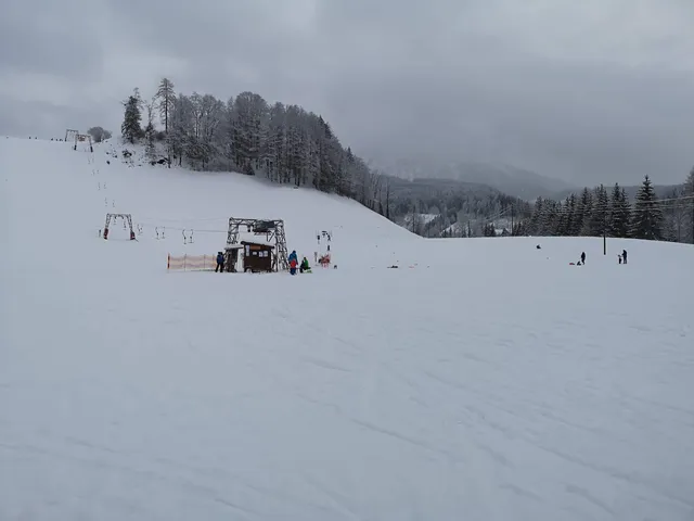 photo-1