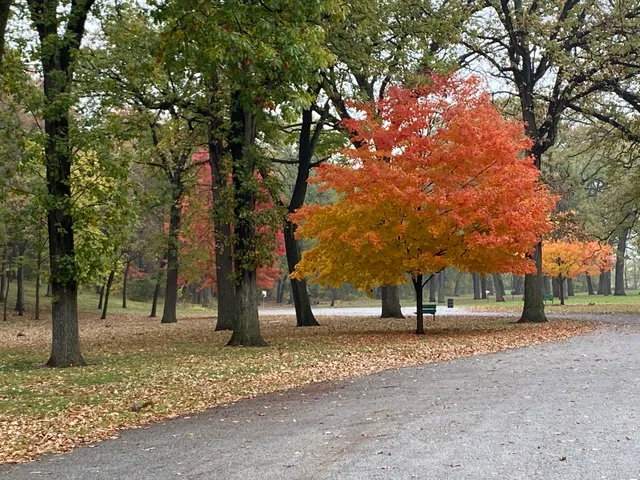 place image
