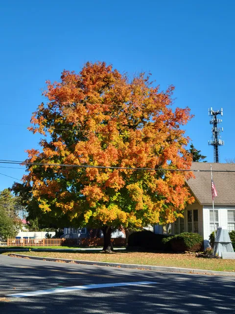 Tuckerton Historical Society