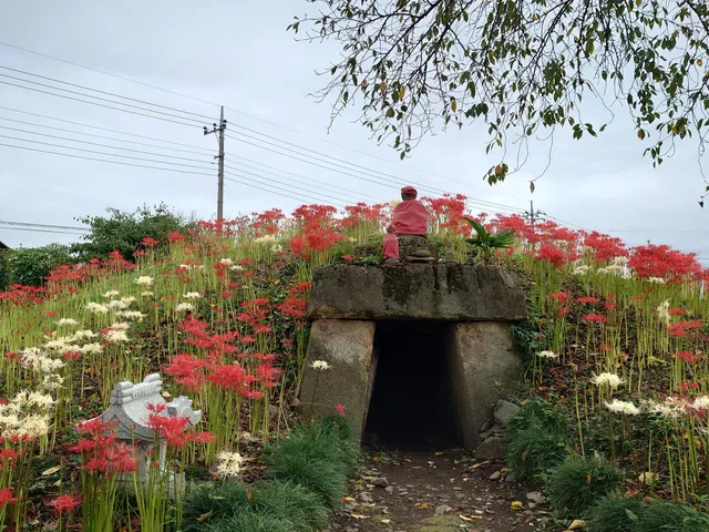 Tagoyakushizuka-kofun Ancient Tomb