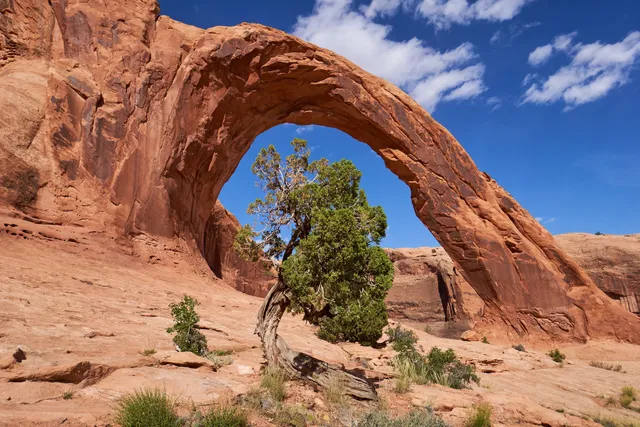 Corona Arch