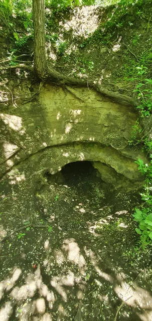 Александровское