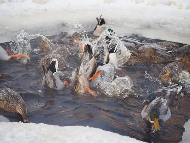 Rocky Glen State Park Scenic Reserve