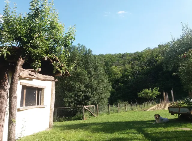 Agriturismo Ca' del Lupo