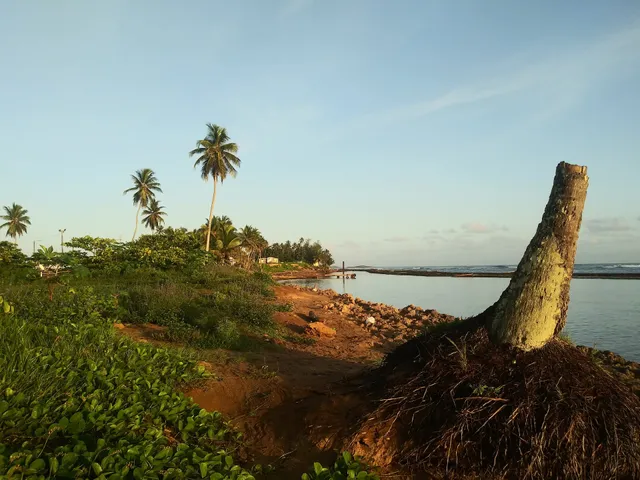 Reserva Natural Pantano Cibuco