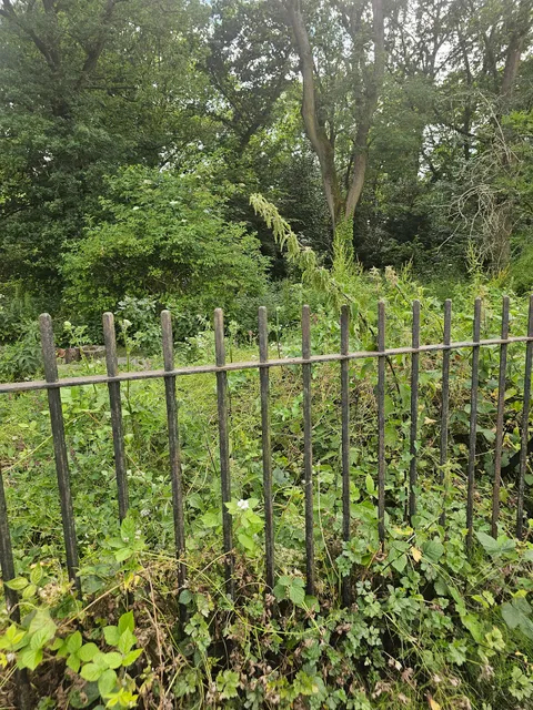 photo-1