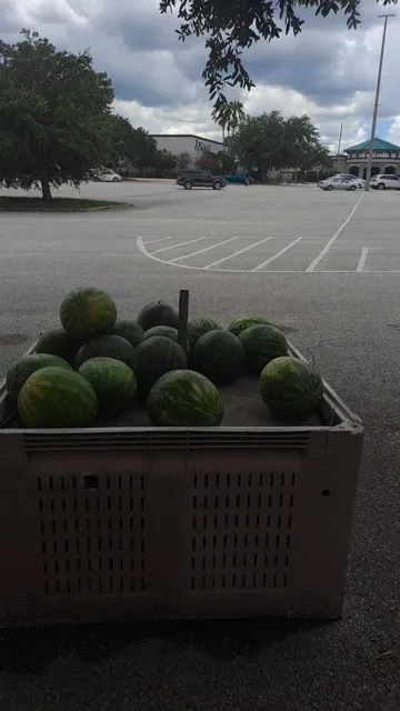 Castillo's Farm Fresh Produce