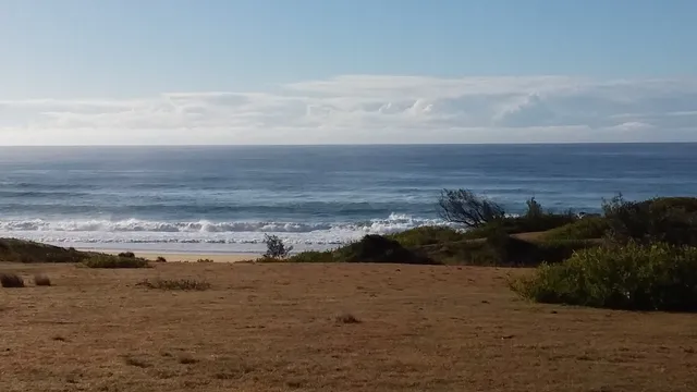 Bingi Dreaming track