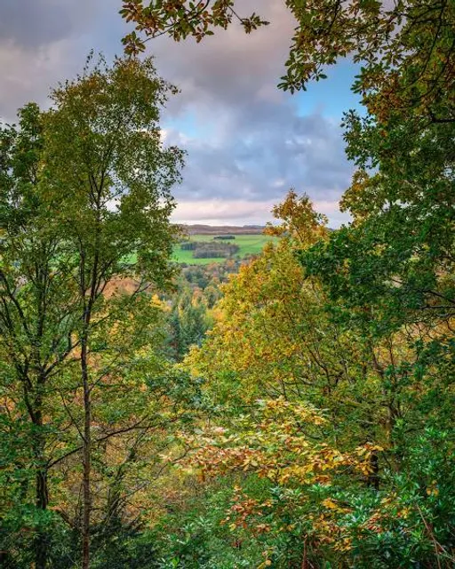 National Trust - Allen Banks and Staward Gorge