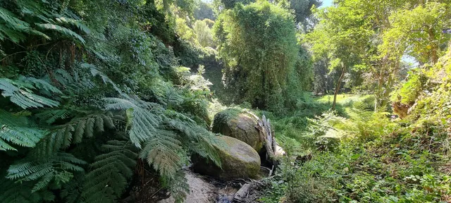 place image