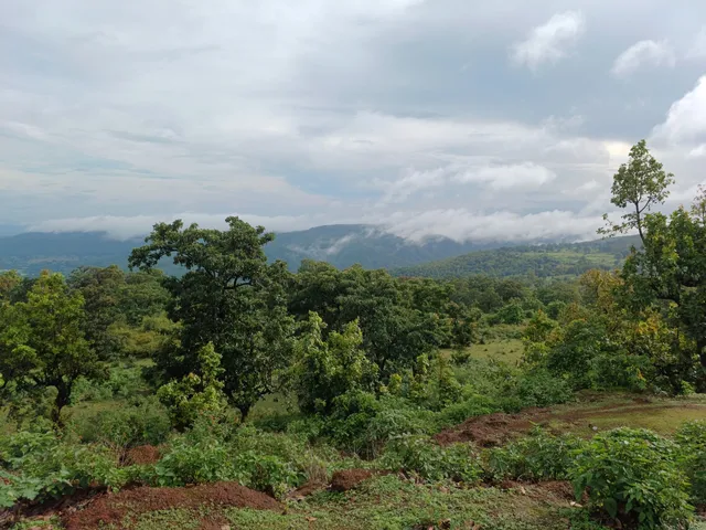 Mehta Point (Sunrise Scene)