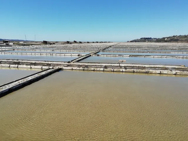 Krajinski park sečovljske soline Lera