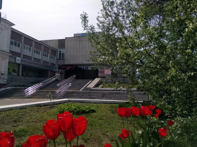 Омский государственный историко - краеведческий музей