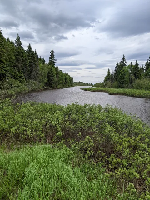 Birch Island Boardwalk