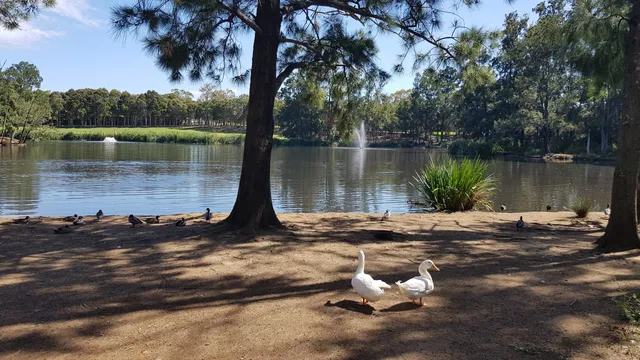 Werrington Lake Reserve