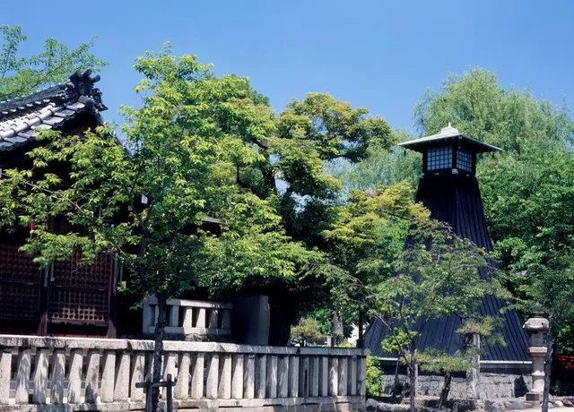 スミヨシトウダイ