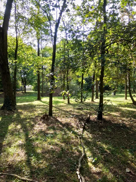Parco dei Ronchi