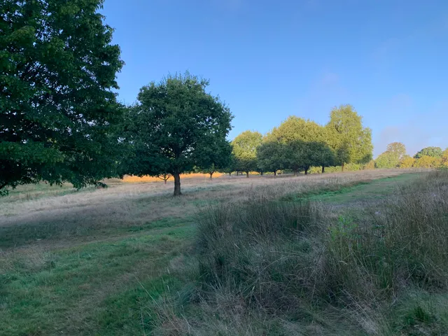 Monken Hadley Common
