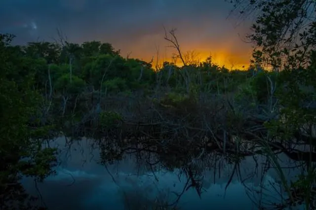 Neerabup National Park